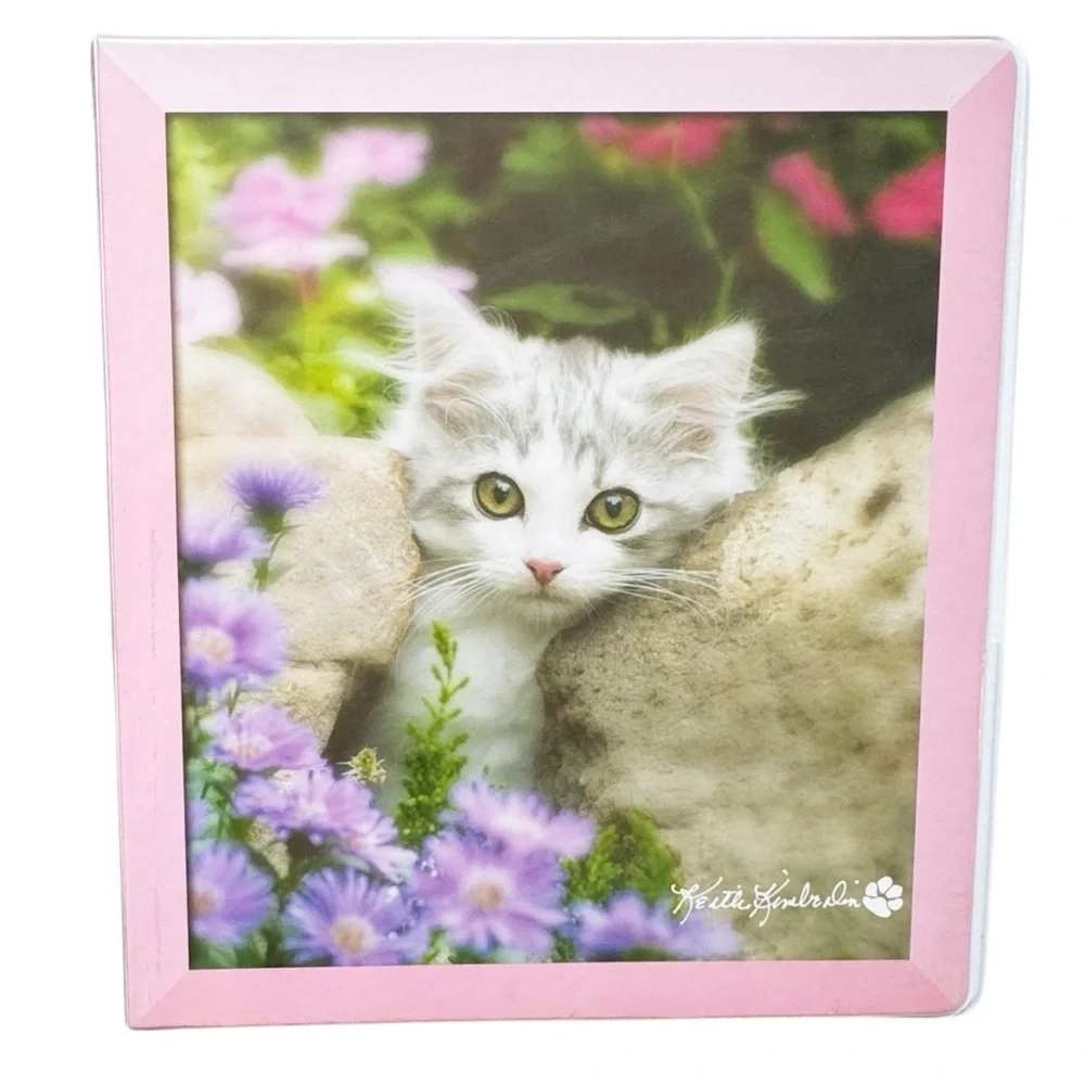Class Act Keith Kimberlin Y2K Pastel Kitten Binders - Set of 3